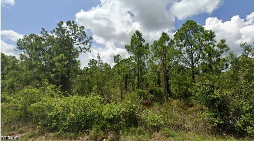 3 Side by side lots are available with a wonderful opportunity - photo 3