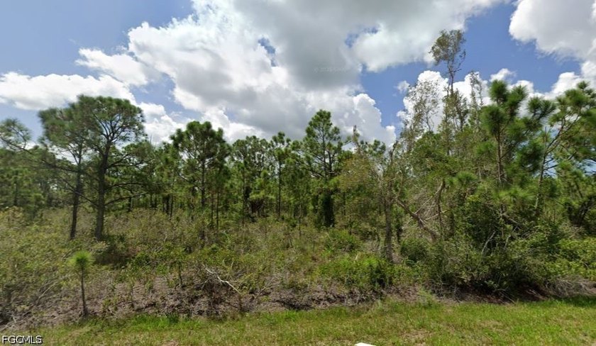 3 Side by side lots are available with a wonderful opportunity - photo 6