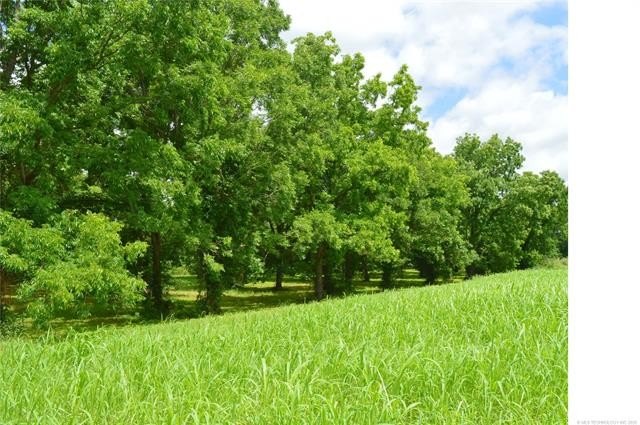 Do you need land on a paved road with about a half mile of Muddy - photo 3