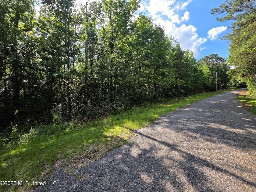 73.6+/- Acres on Summers Lane | Brookhaven, Mississippi Welcome - photo 22
