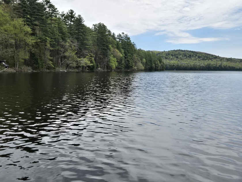 Boat or snowmobile access only. This southerly facing 1.8 acre - photo 2