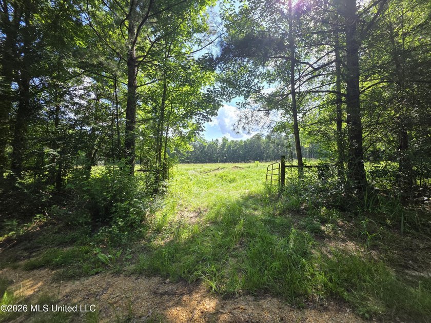 73.6+/- Acres on Summers Lane | Brookhaven, Mississippi Welcome - photo 23