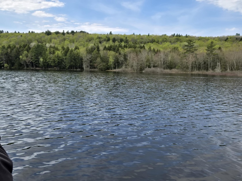Boat or snowmobile access only. This southerly facing 1.8 acre - photo 5