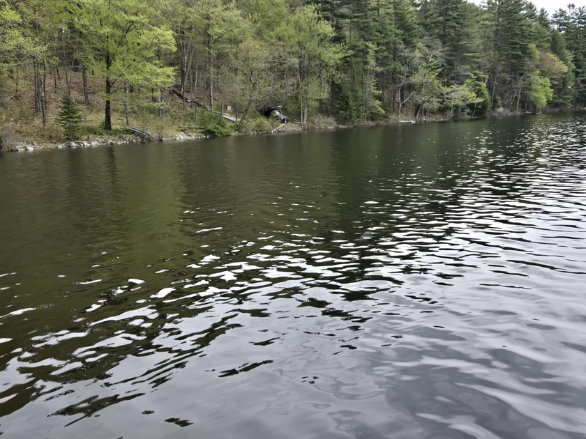 Boat or snowmobile access only. This southerly facing 1.8 acre - photo 6