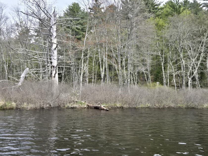 Boat or snowmobile access only. This southerly facing 1.8 acre - photo 7