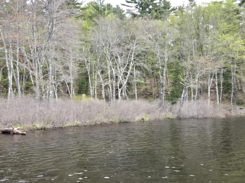 Boat or snowmobile access only. This southerly facing 1.8 acre - photo 8