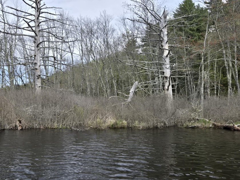 Boat or snowmobile access only. This southerly facing 1.8 acre - photo 9