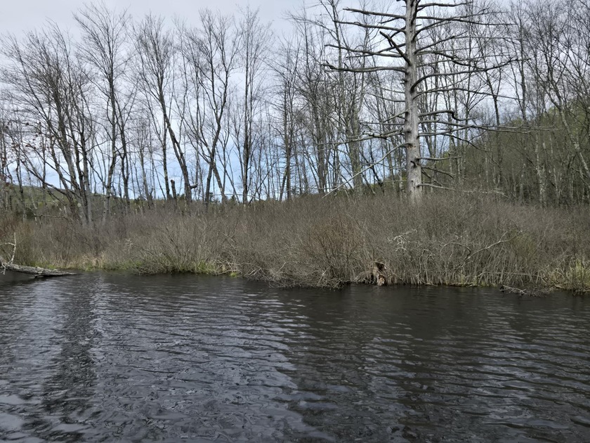 Boat or snowmobile access only. This southerly facing 1.8 acre - photo 10