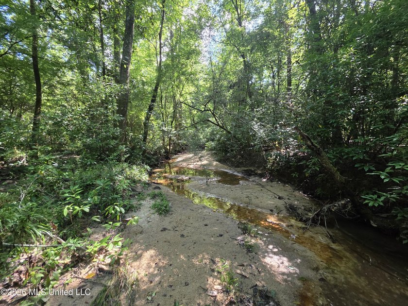 73.6+/- Acres on Summers Lane | Brookhaven, Mississippi Welcome - photo 36