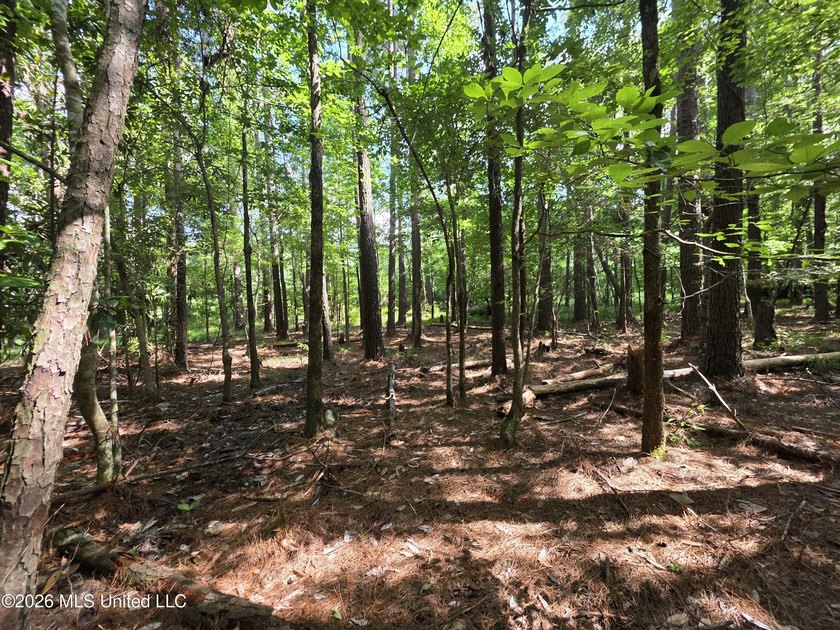 73.6+/- Acres on Summers Lane | Brookhaven, Mississippi Welcome - photo 49