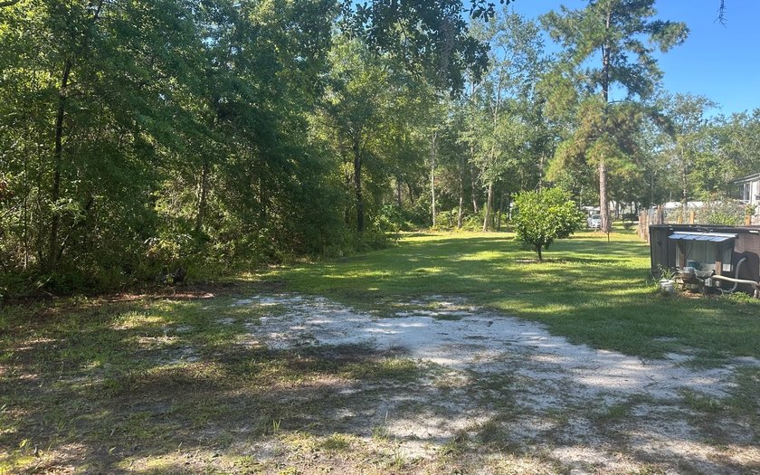 Basically BOGO! Two large manufactured homes on almost 2 acres - photo 11