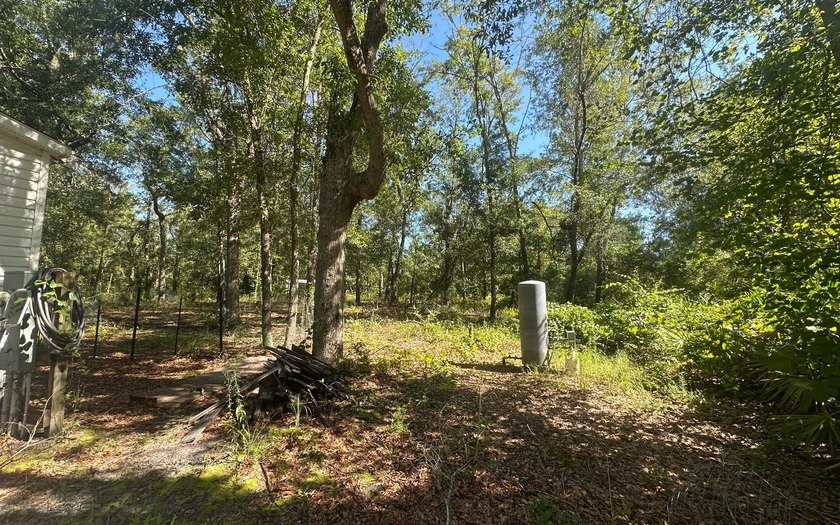 Basically BOGO! Two large manufactured homes on almost 2 acres - photo 12