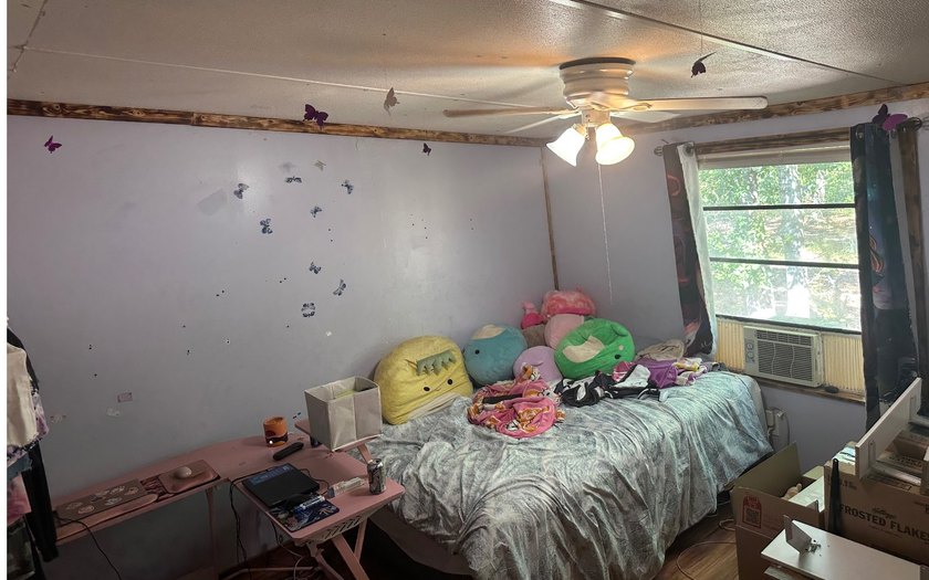 Basically BOGO! Two large manufactured homes on almost 2 acres - photo 26