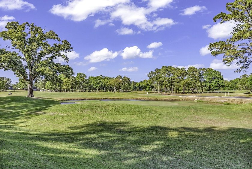 Tucked along the manicured fairways of the sought-after Eastport - photo 38