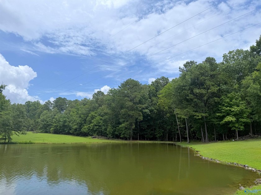 Discover the perfect place to build your dream home or lake - photo 2
