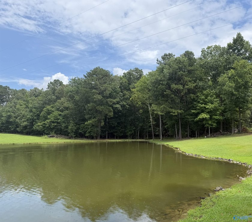 Discover the perfect place to build your dream home or lake - photo 3