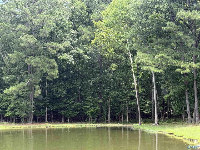 Discover the perfect place to build your dream home or lake - photo 4