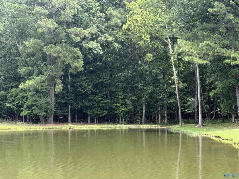 Discover the perfect place to build your dream home or lake - photo 5