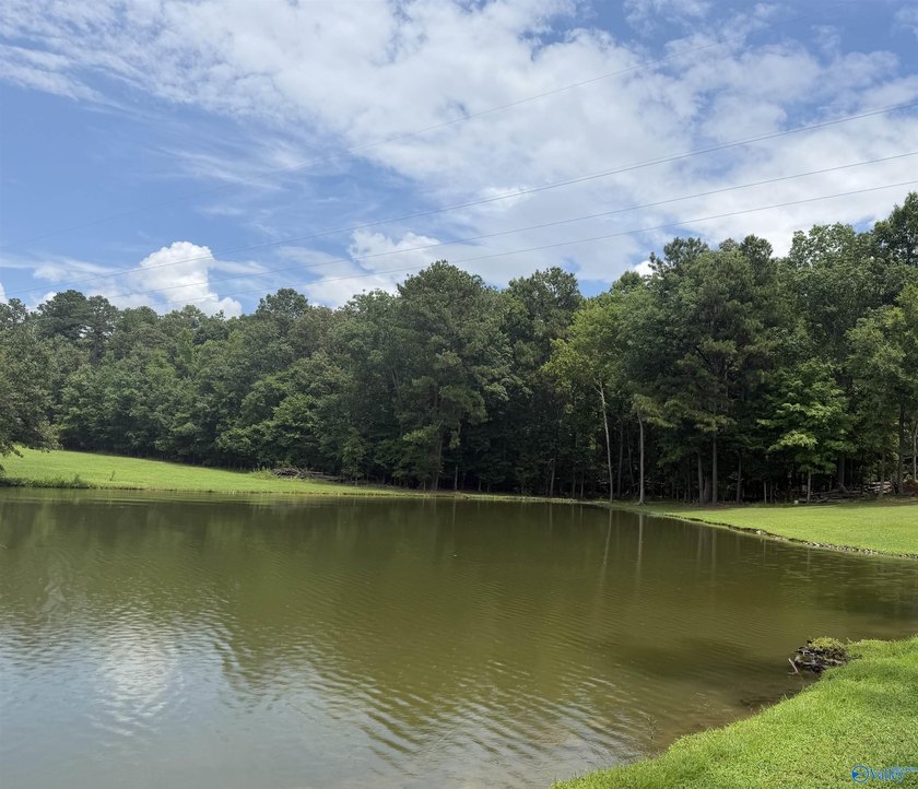 Discover the perfect place to build your dream home or lake - photo 6