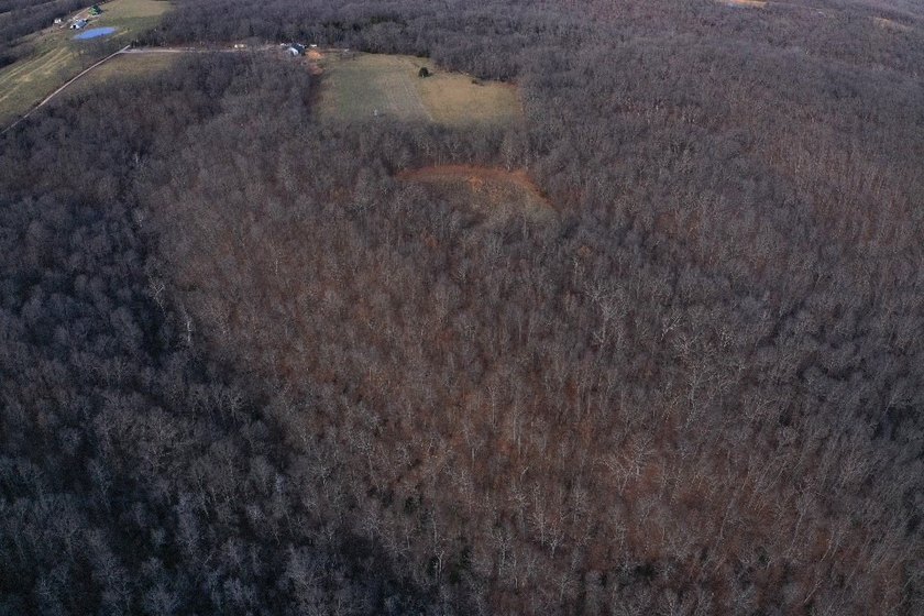 What a great Morgan county hunting farm close to Lake of the - photo 8