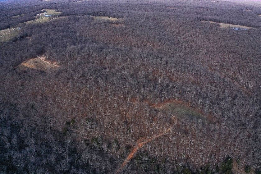 What a great Morgan county hunting farm close to Lake of the - photo 9