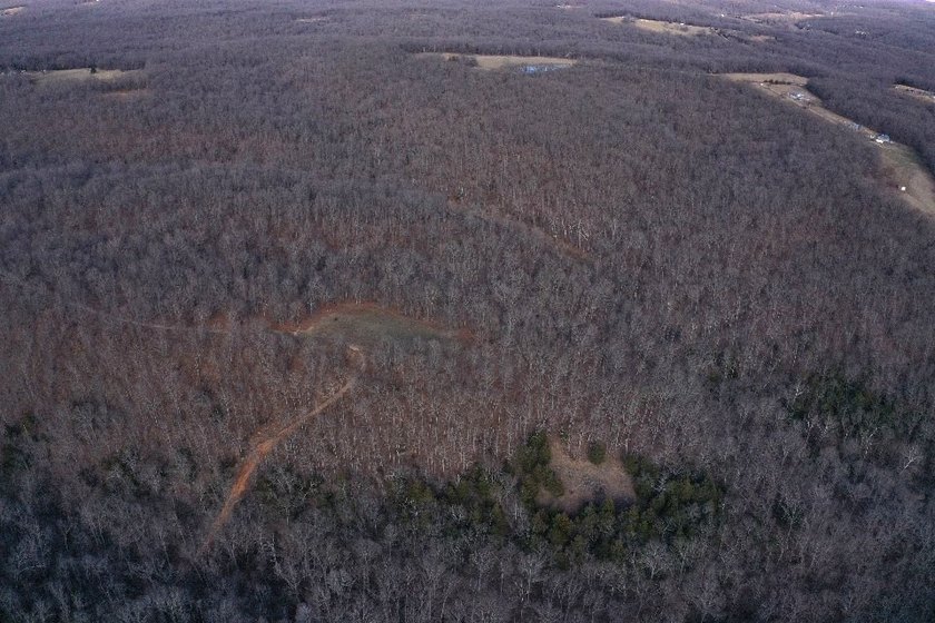 What a great Morgan county hunting farm close to Lake of the - photo 10
