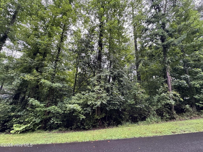 Looking for your getaway check out this .17-acre lot located in - photo 3