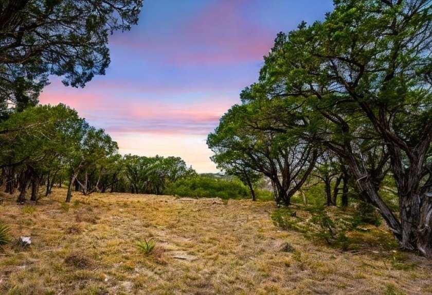 No City Taxes | Largest Available Homesite in Las - photo 5