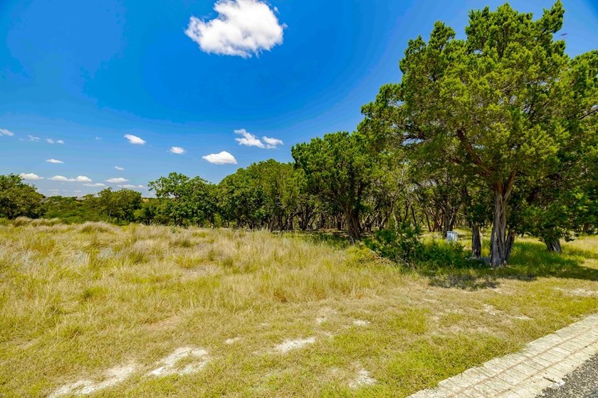 No City Taxes | Largest Available Homesite in Las - photo 6