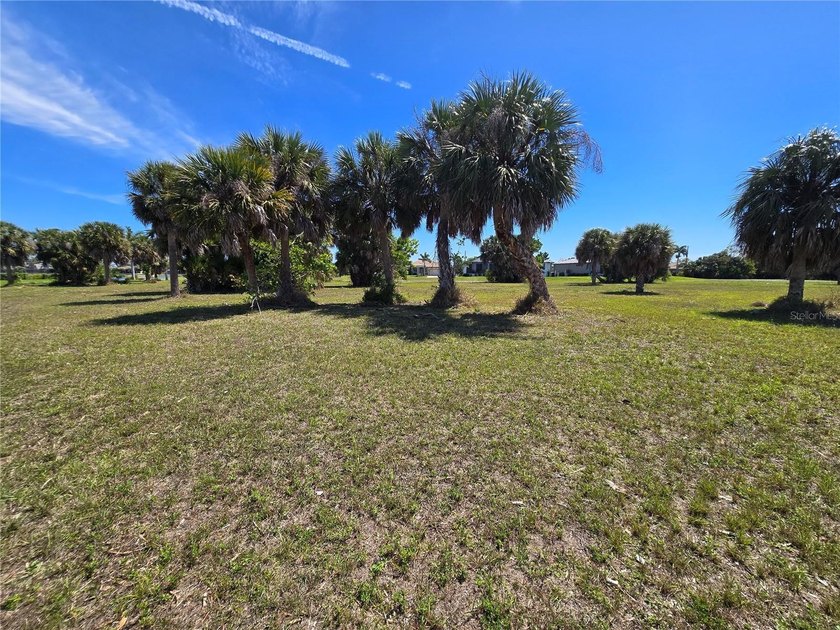 Build your dream home on this oversized corner lot in the - photo 5