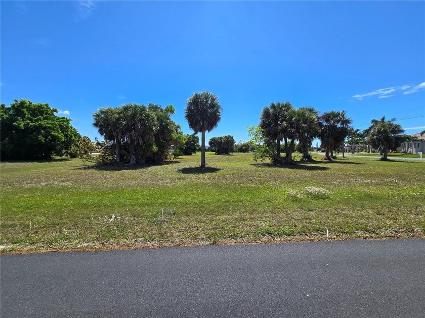 Build your dream home on this oversized corner lot in the - photo 7