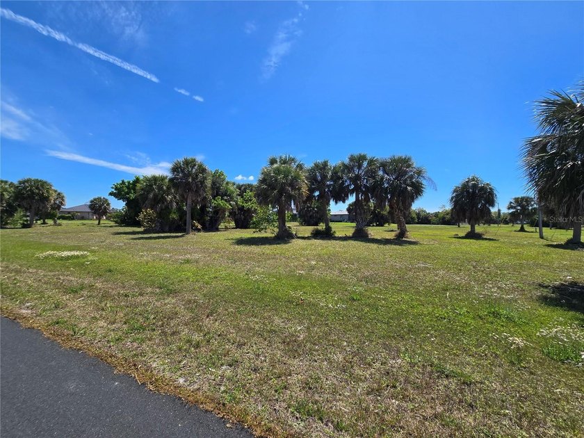 Build your dream home on this oversized corner lot in the - photo 8