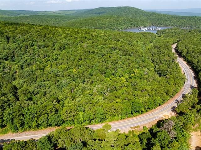 30 mol Acres With Highway 271 Frontage | Scenic Creek | - photo 6