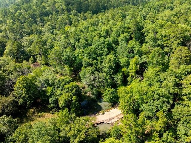 30 mol Acres With Highway 271 Frontage | Scenic Creek | - photo 8