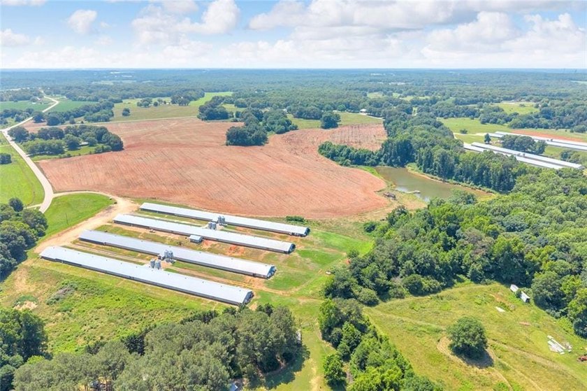 Welcome To Real Farm Life! 51.57 Acre Legacy Estate in Hart - photo 12