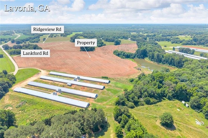 Welcome To Real Farm Life! 51.57 Acre Legacy Estate in Hart - photo 13