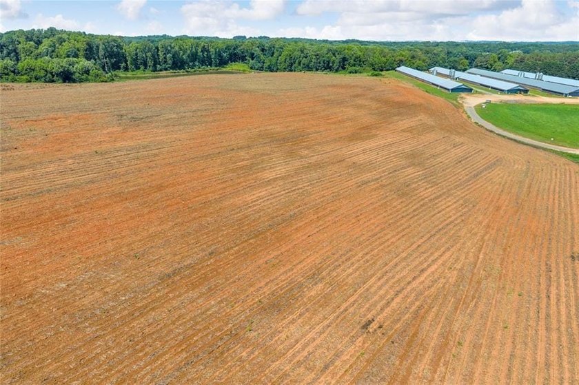 Welcome To Real Farm Life! 51.57 Acre Legacy Estate in Hart - photo 14