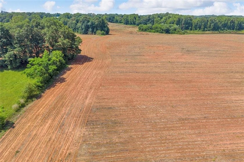 Welcome To Real Farm Life! 51.57 Acre Legacy Estate in Hart - photo 15