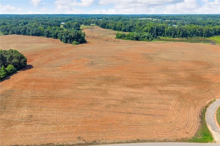 Welcome To Real Farm Life! 51.57 Acre Legacy Estate in Hart - photo 16