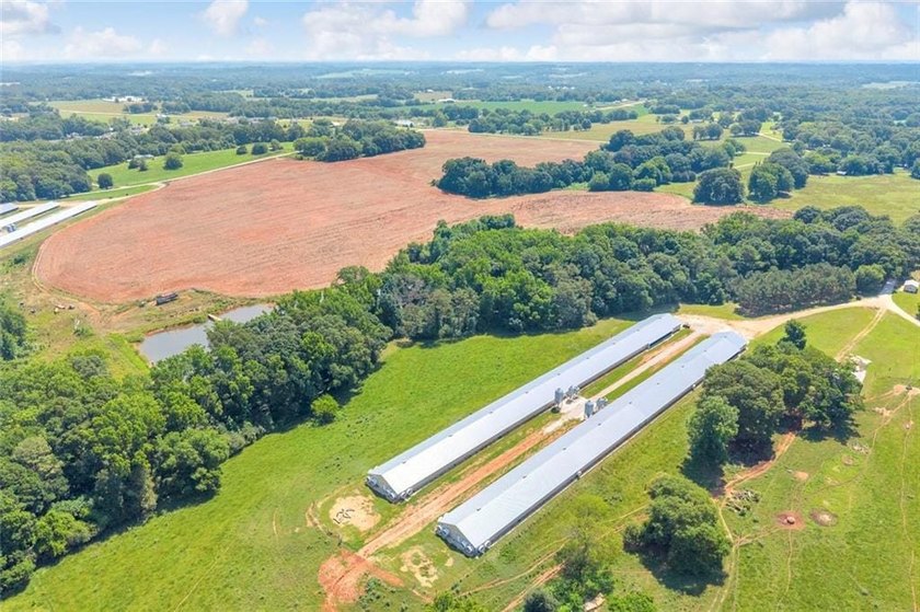 Welcome To Real Farm Life! 51.57 Acre Legacy Estate in Hart - photo 17