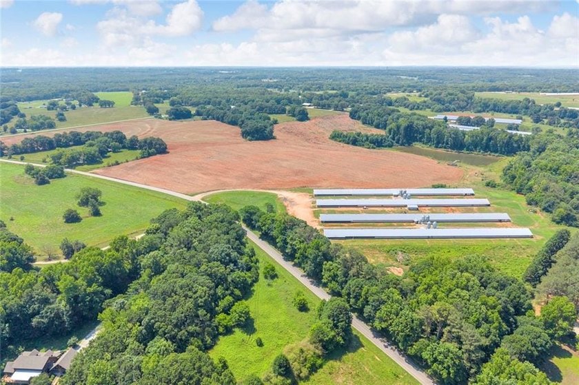 Welcome To Real Farm Life! 51.57 Acre Legacy Estate in Hart - photo 21