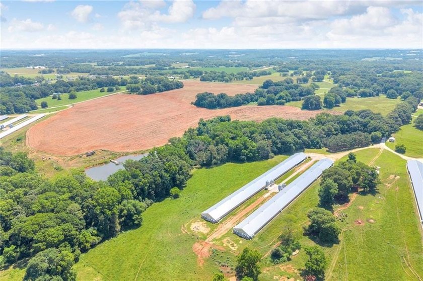 Welcome To Real Farm Life! 51.57 Acre Legacy Estate in Hart - photo 22