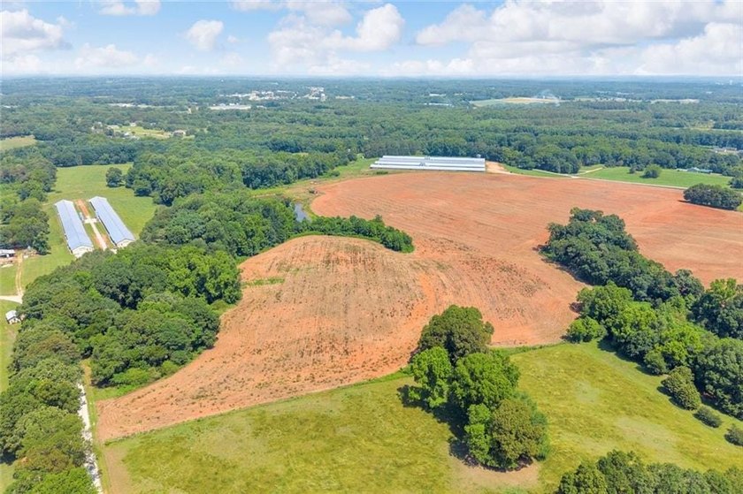 Welcome To Real Farm Life! 51.57 Acre Legacy Estate in Hart - photo 23