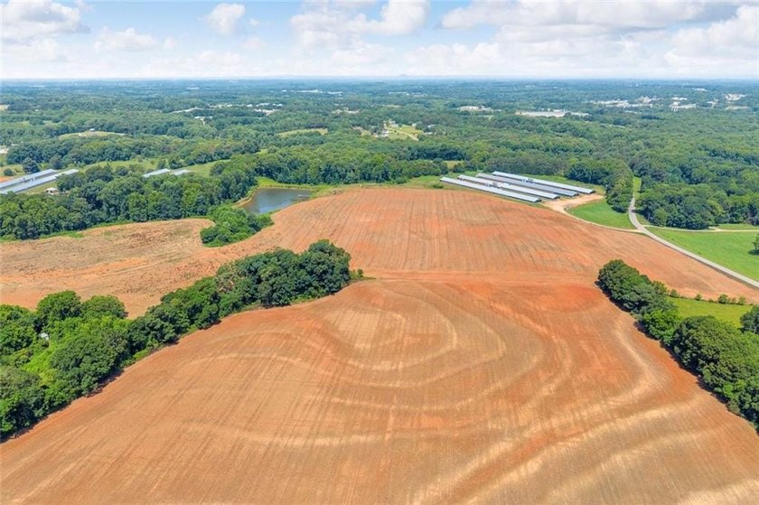 Welcome To Real Farm Life! 51.57 Acre Legacy Estate in Hart - photo 24