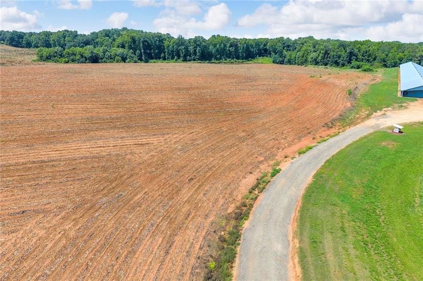 Welcome To Real Farm Life! 51.57 Acre Legacy Estate in Hart - photo 27