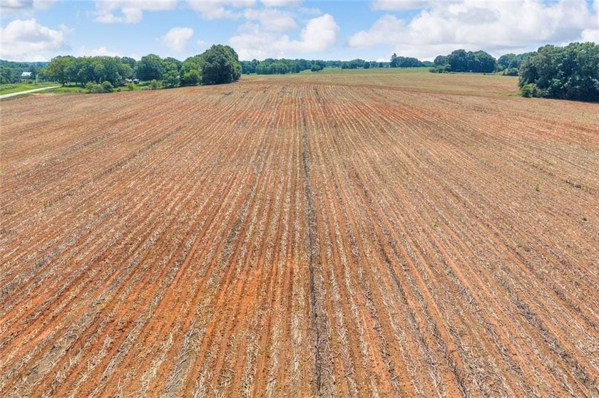 Welcome To Real Farm Life! 51.57 Acre Legacy Estate in Hart - photo 28