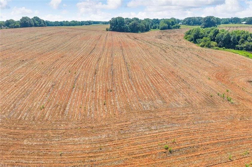 Welcome To Real Farm Life! 51.57 Acre Legacy Estate in Hart - photo 30