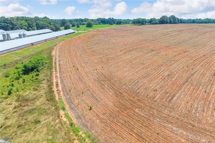 Welcome To Real Farm Life! 51.57 Acre Legacy Estate in Hart - photo 31