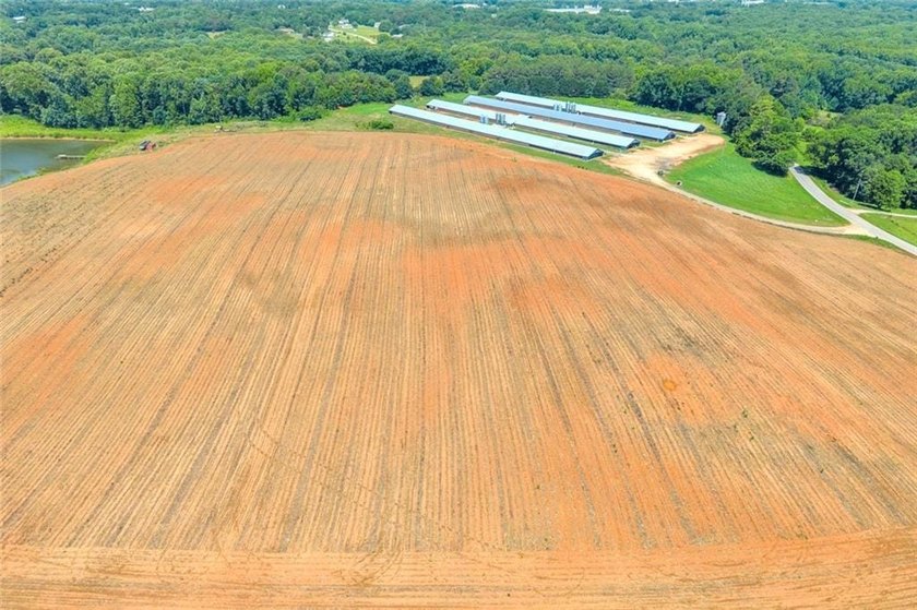 Welcome To Real Farm Life! 51.57 Acre Legacy Estate in Hart - photo 35