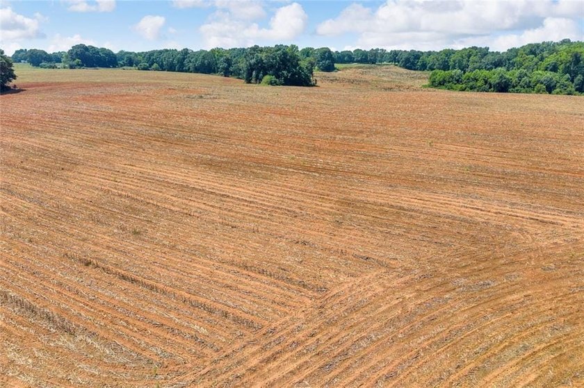 Welcome To Real Farm Life! 51.57 Acre Legacy Estate in Hart - photo 40